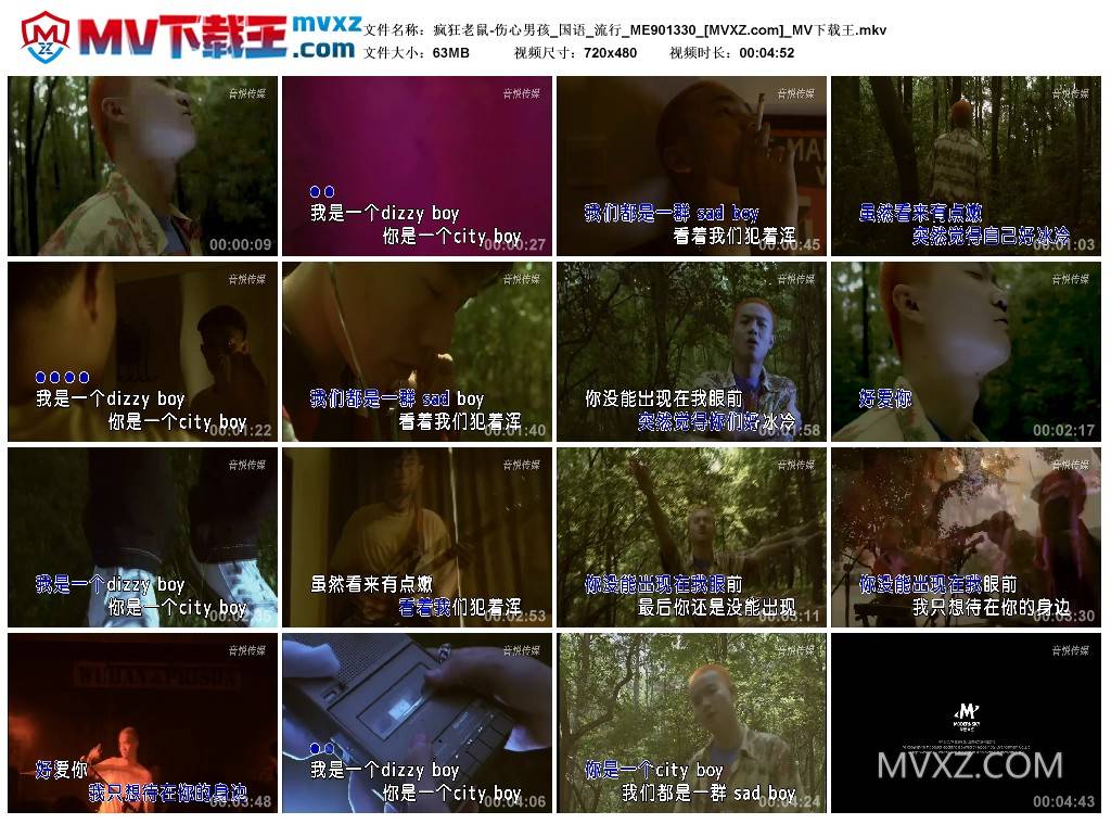 疯狂老鼠-伤心男孩_国语_流行_ME901330